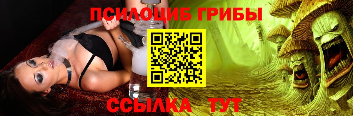 Псилоцибиновые грибы ЛСД  Вход с VPN  где купить наркоту  Ставрополь  Псилоцибиновые грибы Psilocybine cubensis 
